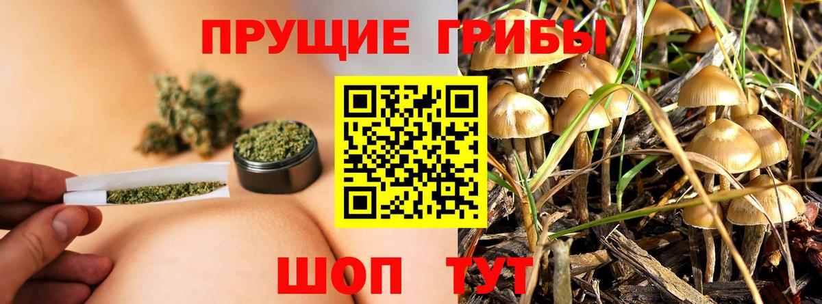 Альметьевск  Псилоцибиновые грибы MAGIC MUSHROOMS  Вход с VPN 